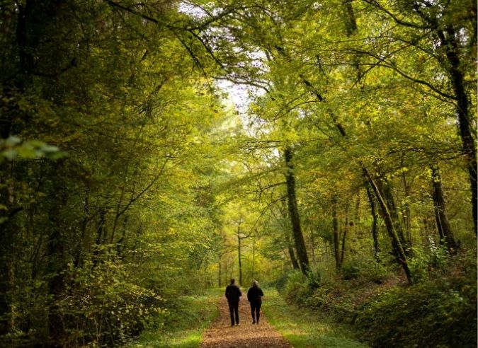 Quelques jours dans le Parc national de forêts